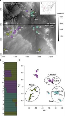 Evolutionary dynamics inform management interventions of a hanging garden obligate, Carex specuicola